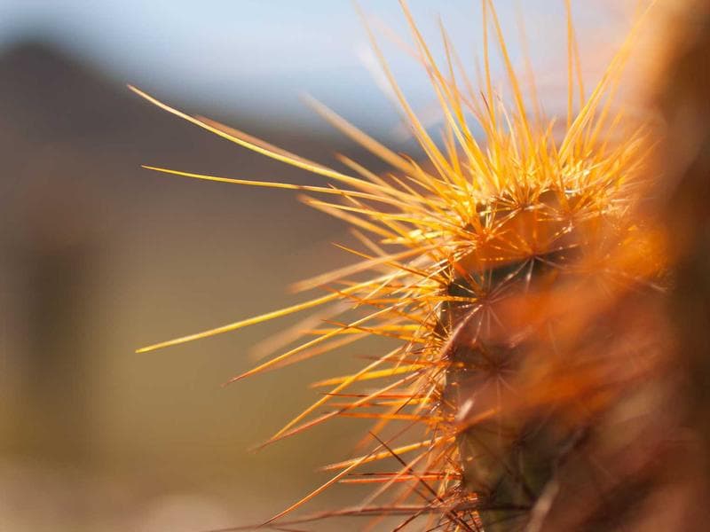Hiking