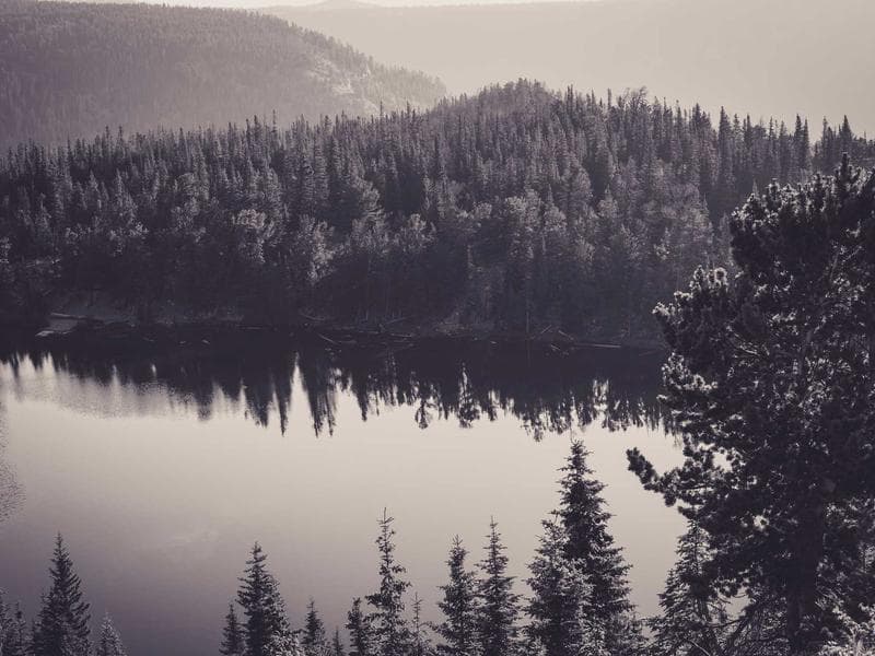 Nature & Discovery