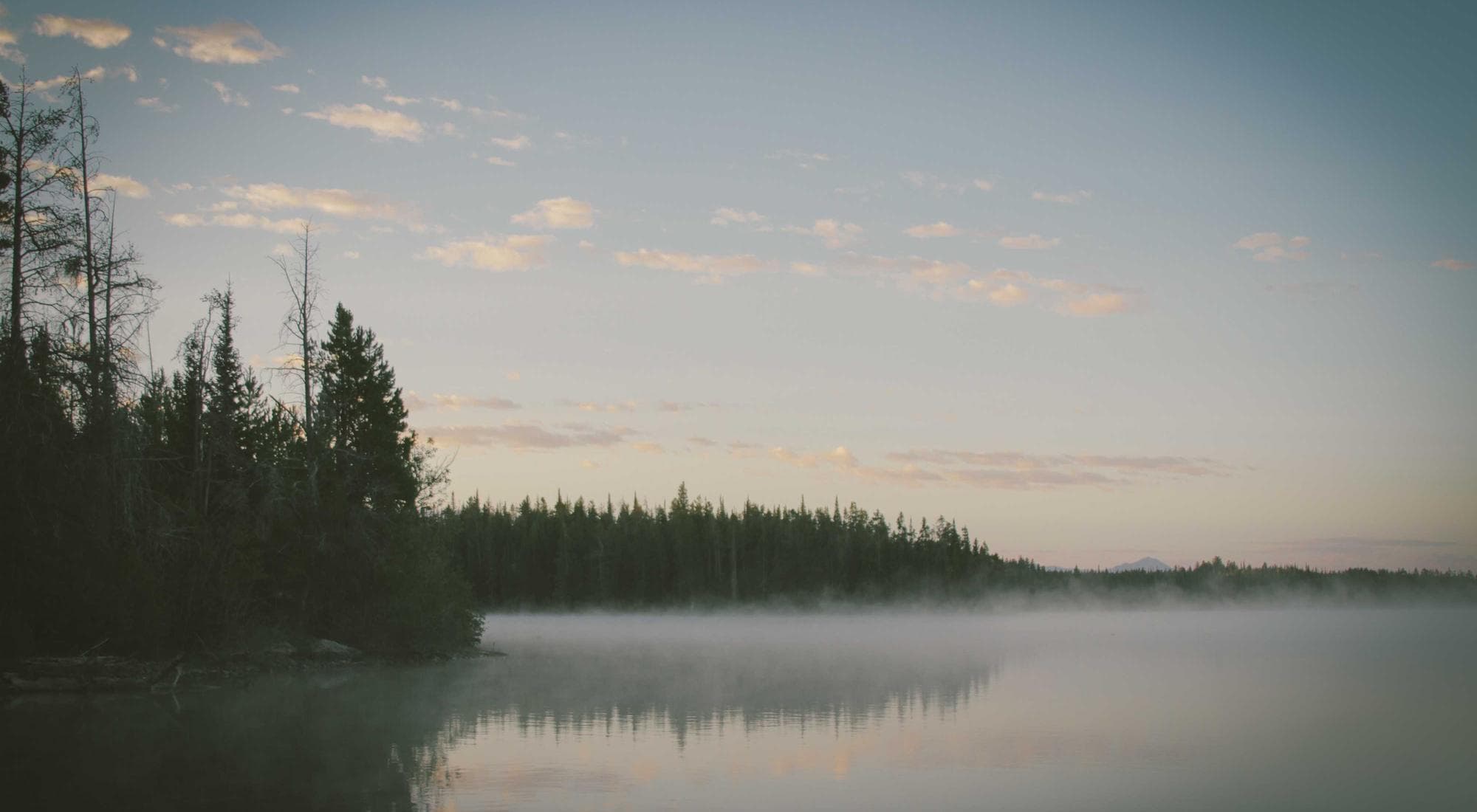 Paddling — Sea & Coastal in Brockville