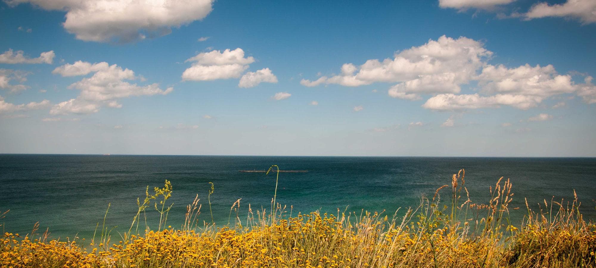 Georgian Bay landscape