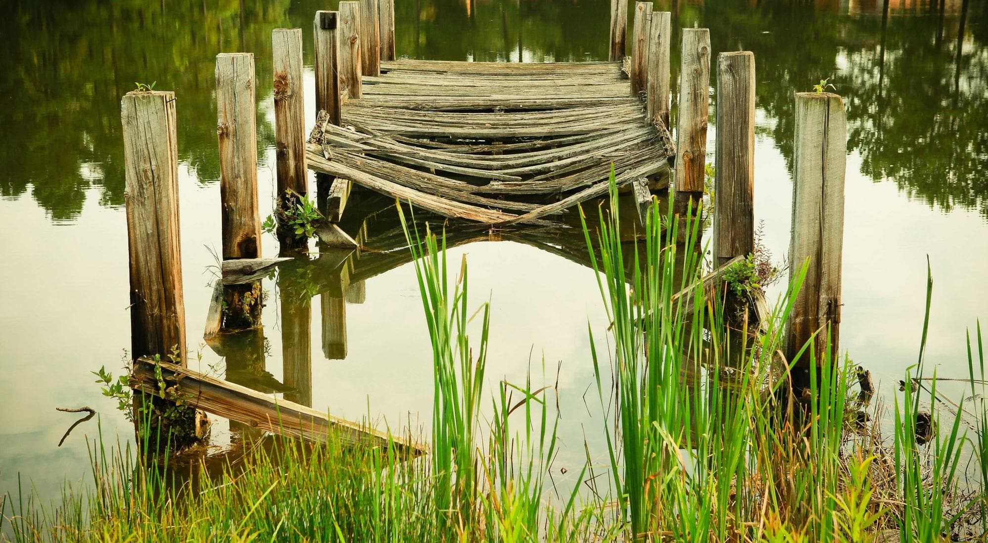 Paddling — Flatwater in Guelph