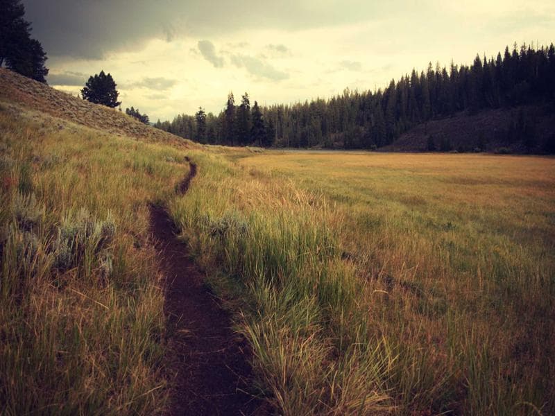 Walking & Strolling