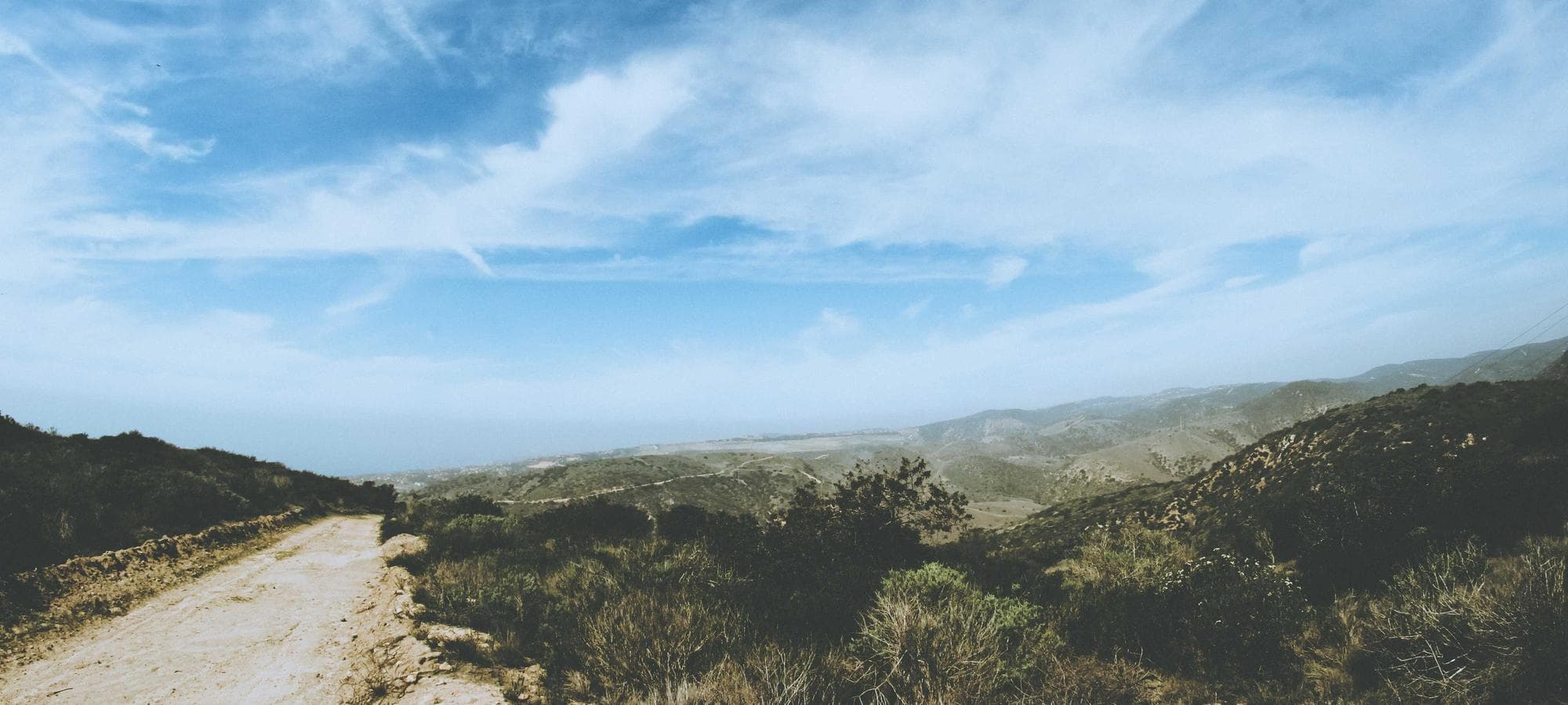 Kingsville landscape