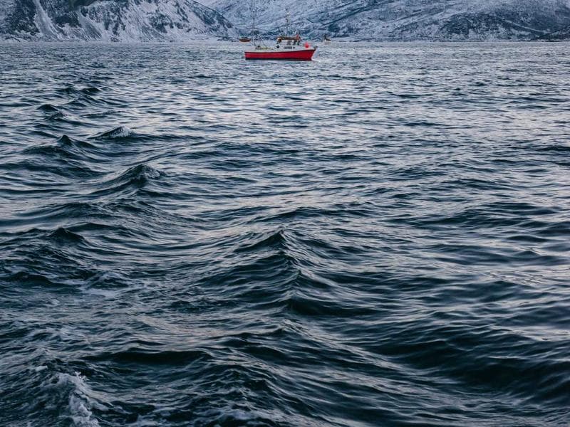 Paddling — Flatwater