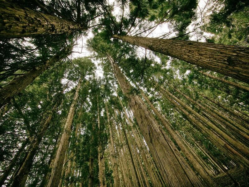 Nature & Discovery