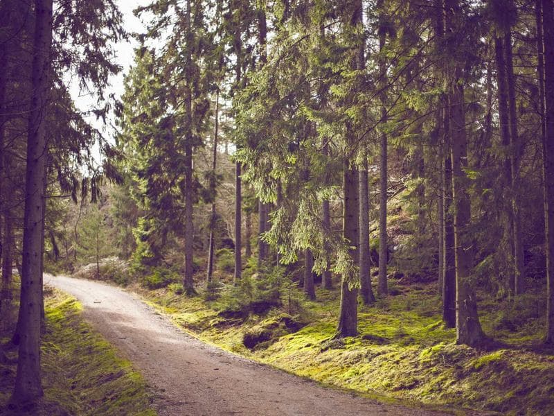 Nature & Discovery