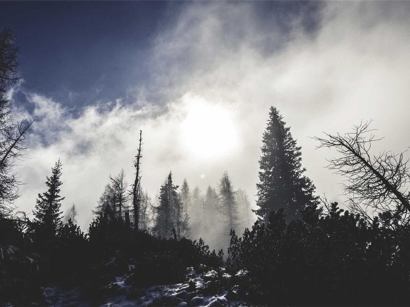 Hiking