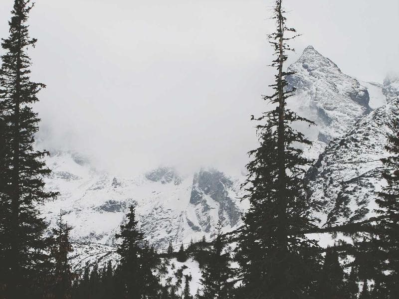 Nature & Discovery