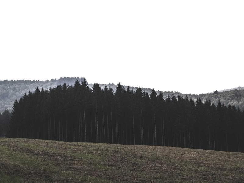 Cycling