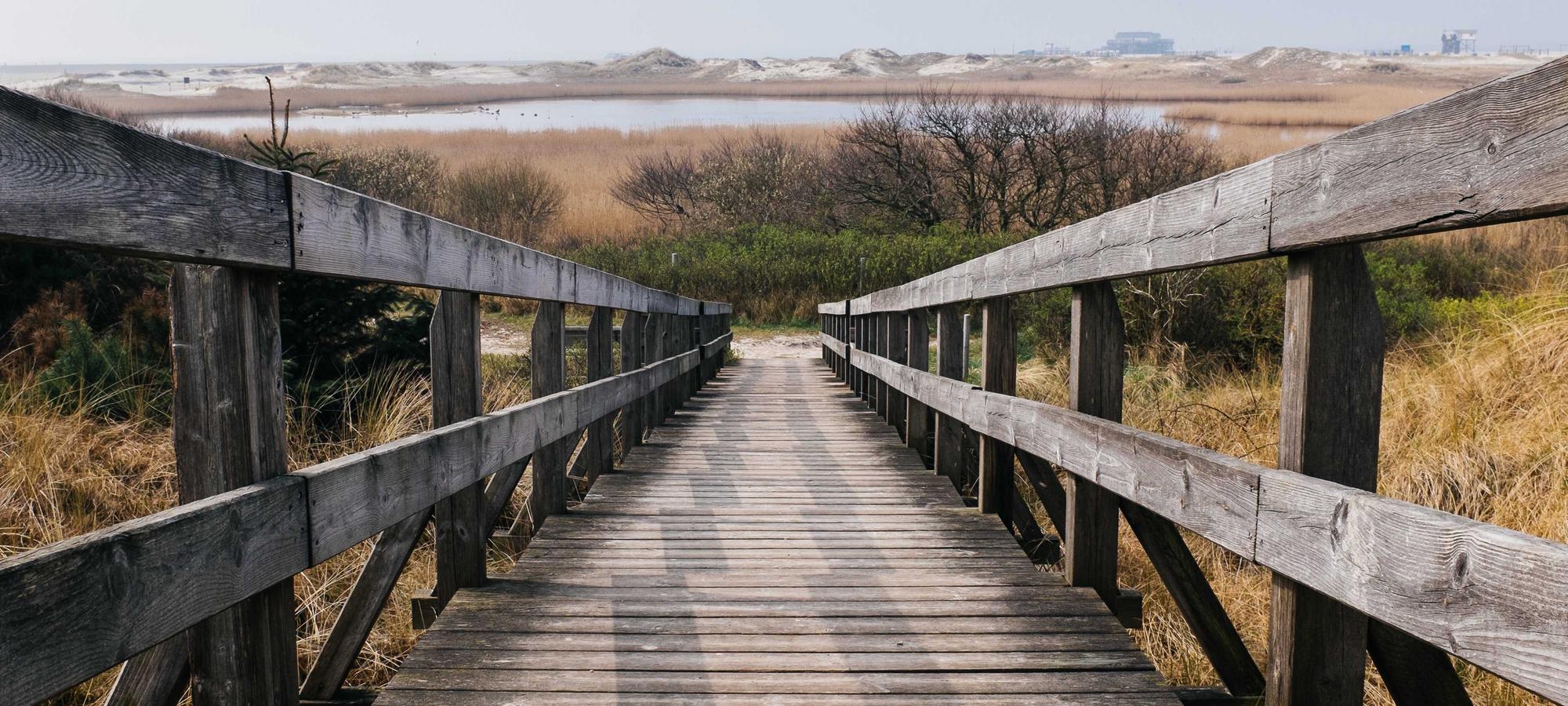 Pelee landscape