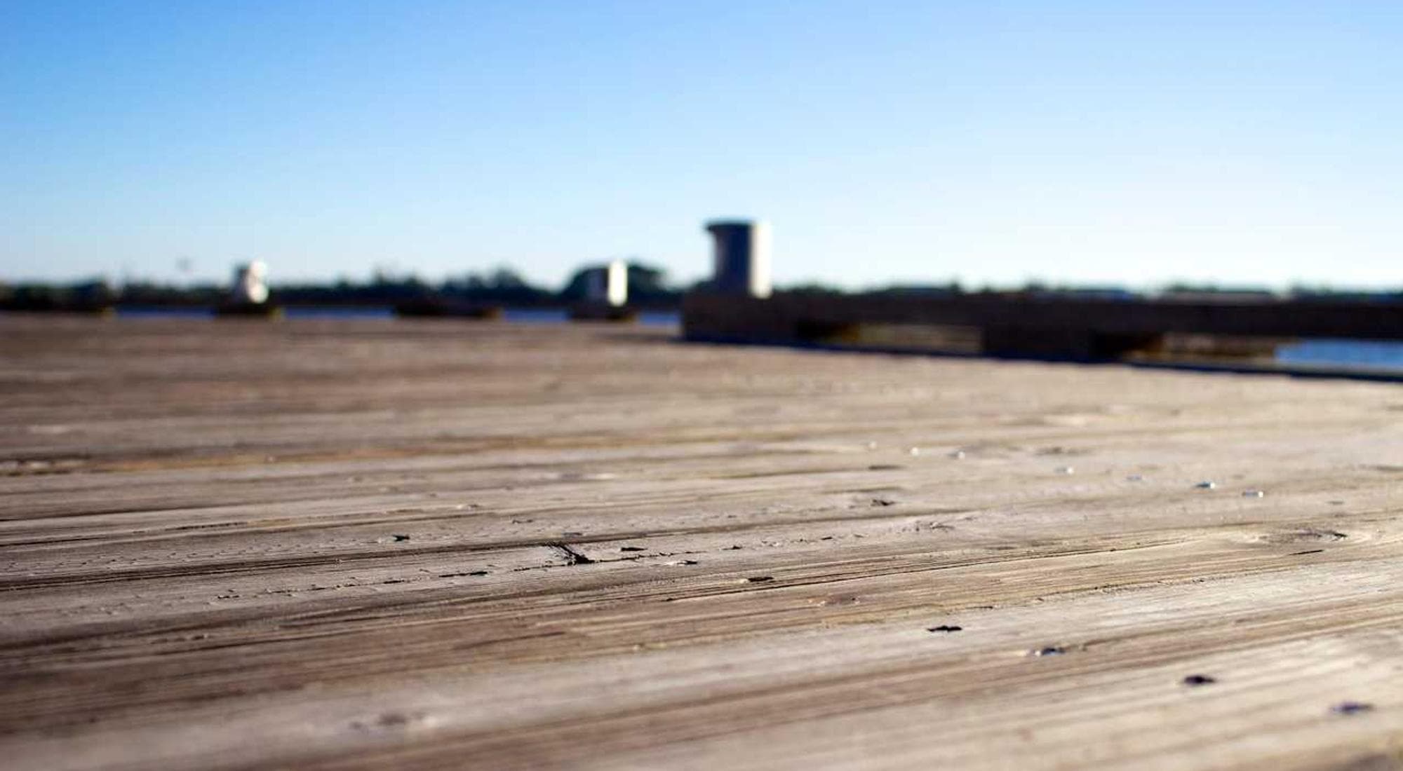 Paddling — Flatwater in Prince Edward County