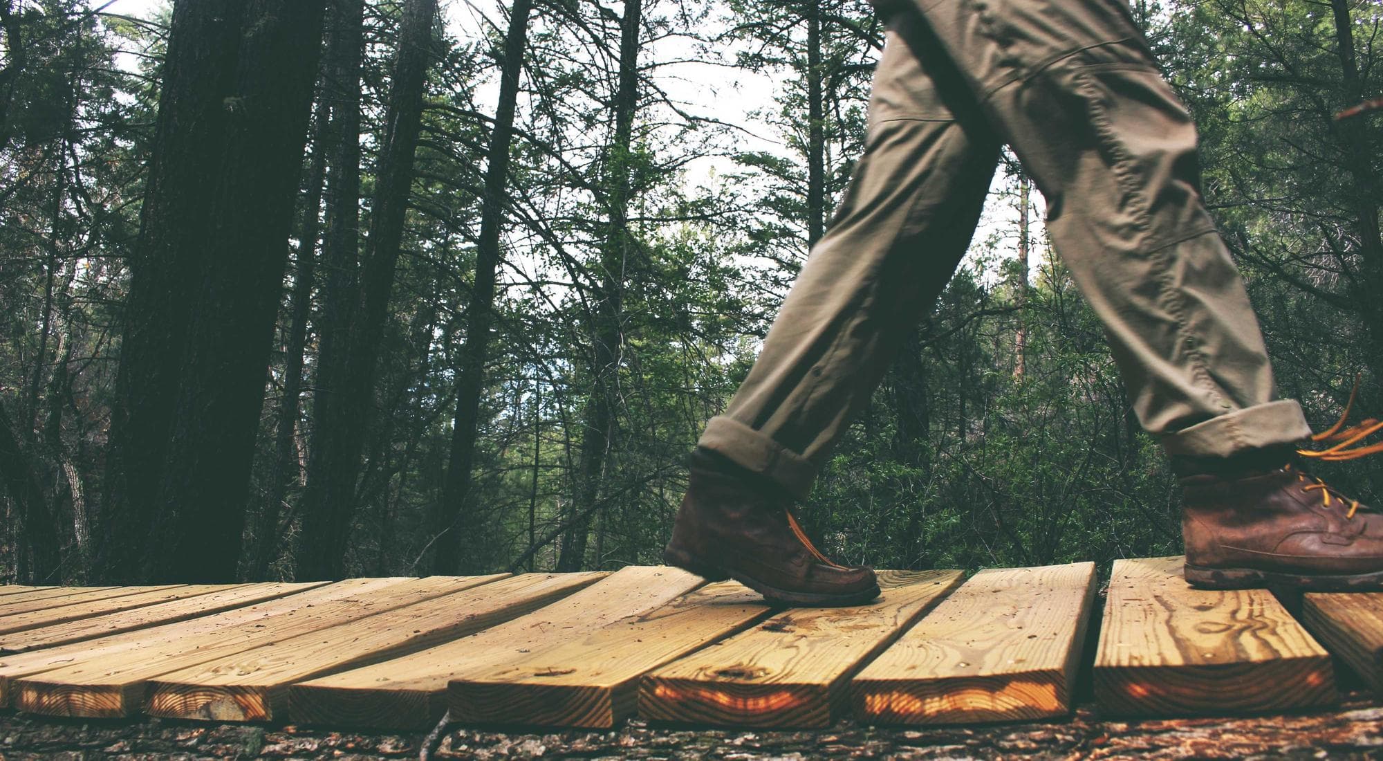 Paddling — Flatwater in Temagami