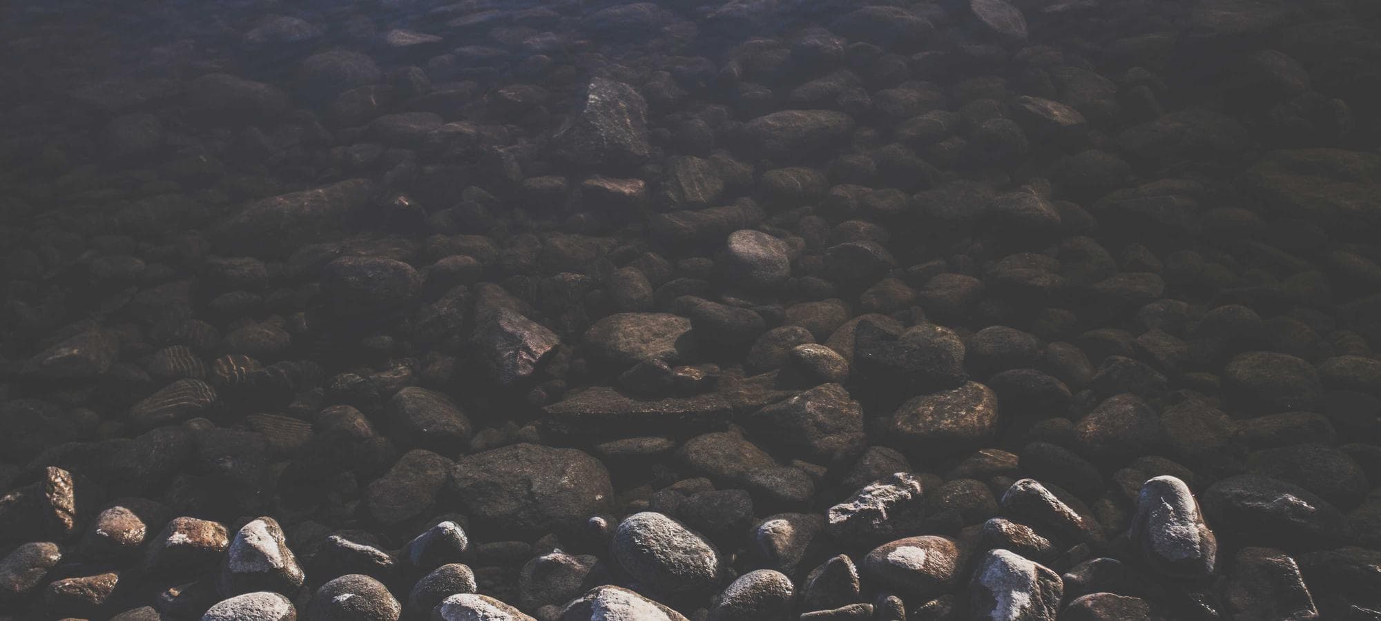 Westport landscape